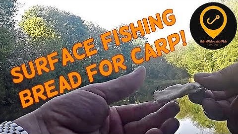 Surface fishing bread for Carp!