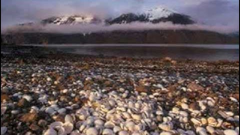 رقية شرعية للباحث الشيخ : جمال الكاشف ( السحر 1 )