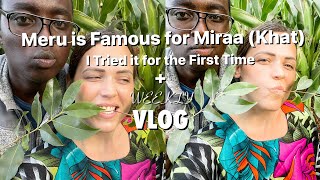 I Finally Tried Miraa in Meru • Green Gold • Village Life • Life in Kenya • Weekly Vlog