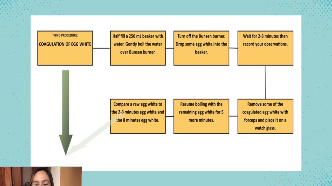 PROTEIN DENATURATION(Lab Report)_Group 5_BSN1C YouTube