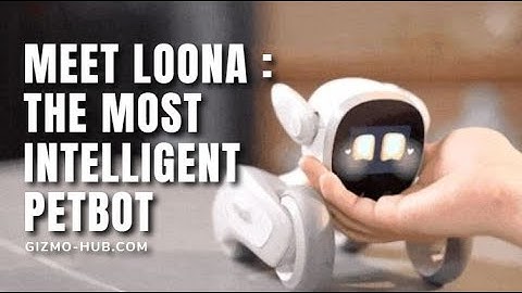 MEET LOONA : THE MOST INTELLIGENT PETBOT | Kickstarter | Gizmo-Hub.com