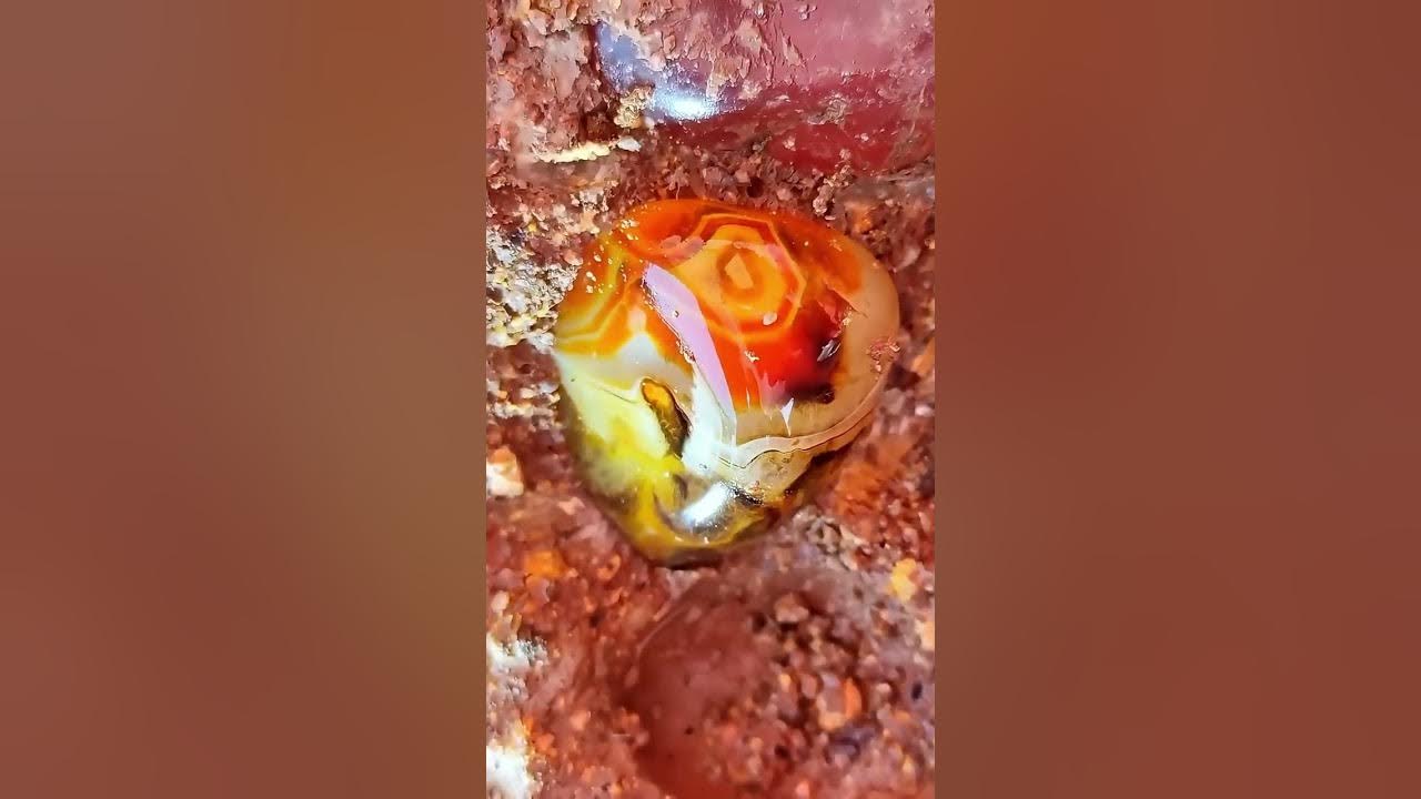 Wild Search for Crystal gems Crystal Gems Adventure YouTube