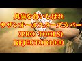 奥歯を食いしばれ / サザンオースターズ カバー