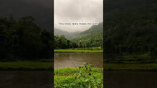 A Peaceful Monsoon Day On The Farm