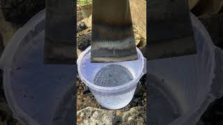 How to harden the dodos of oil palm plantation tools #medievalblacksmith #forgedfromiron #amazing