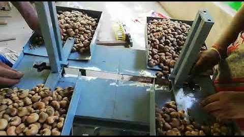automatic raw cashew shelling machine||Raw Cashew nut cutting machine