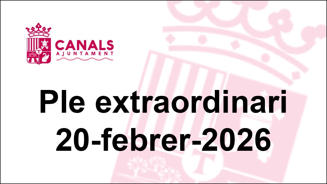 Ple Extraordinari del 20 de febrer de 2026