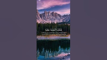 أدريس أبكر تلاوه خاشعه 🎧♥️#ادريس_ابكر #تلاوة_خاشعة #اكسبلور #quran #تيك_توك #تلاوات #راحة_نفسية#لايك