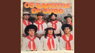 Video thumbnail of "Garotos de Ouro - Bailanta do Fundão"