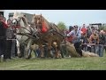 Concurs cu cai de tractiune - Sectiunea dublu, Salicea, Cluj 2017