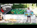 Catching EXOTIC Fish &amp; Feeding Them To My BACKYARD POND!! *Catch Clean Feed*