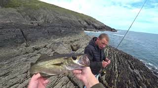 :        /      / FISHING IN IRELAND