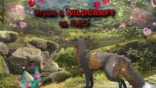 Играю в WILDCRAFT за ЛИСУ 👉🏻 Играем с Лианой - WILDCRAFT❤️💞👌🏻🦊