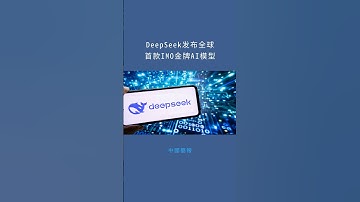 DeepSeek发布全球首款IMO金牌AI模型：中國簡報20251128