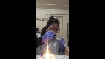 Lab Exercise | Bacterial Morphology and Staining Techniques - Part 2: Video Demonstration