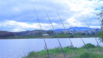 Câu cá chép tự nhiên đập thủy điện: Buổi câu cá lăng xê kịch tính đầy cảm xúc