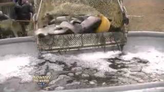 Outdoors Delmarva 2012 Maryland Trout Stocking Short Version