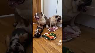 Prikols #prikol #prank #trending #keşfet #reels #shorts #shortvideo #short