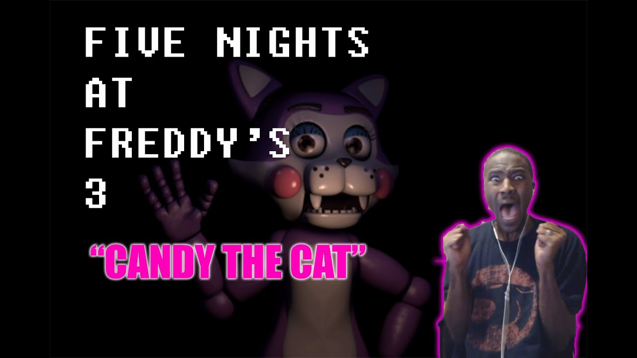 Remember Candy the Cat, that awesome fan-made animatronic? Well