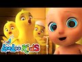 Little chicks  funny kids songs with johny johny  looloo kids nursery rhymes