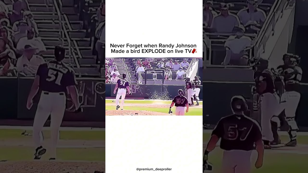 Never Forget When Randy Johnson Made A Bird EXPLODE On Live TV Mlb Baseball Animals
