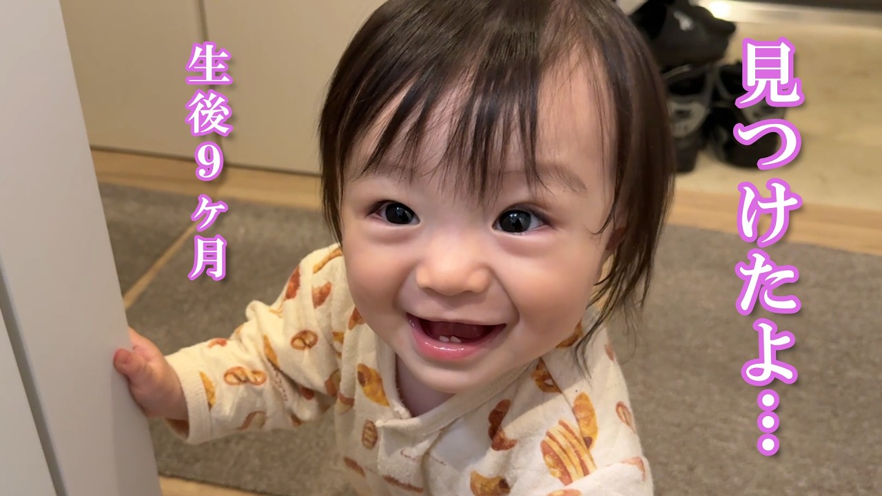 【生後9ヶ月】ポメくんの熱烈なストーカーになった赤ちゃん