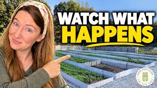 Turn Heavy Clay Into Healthy SOIL With This!