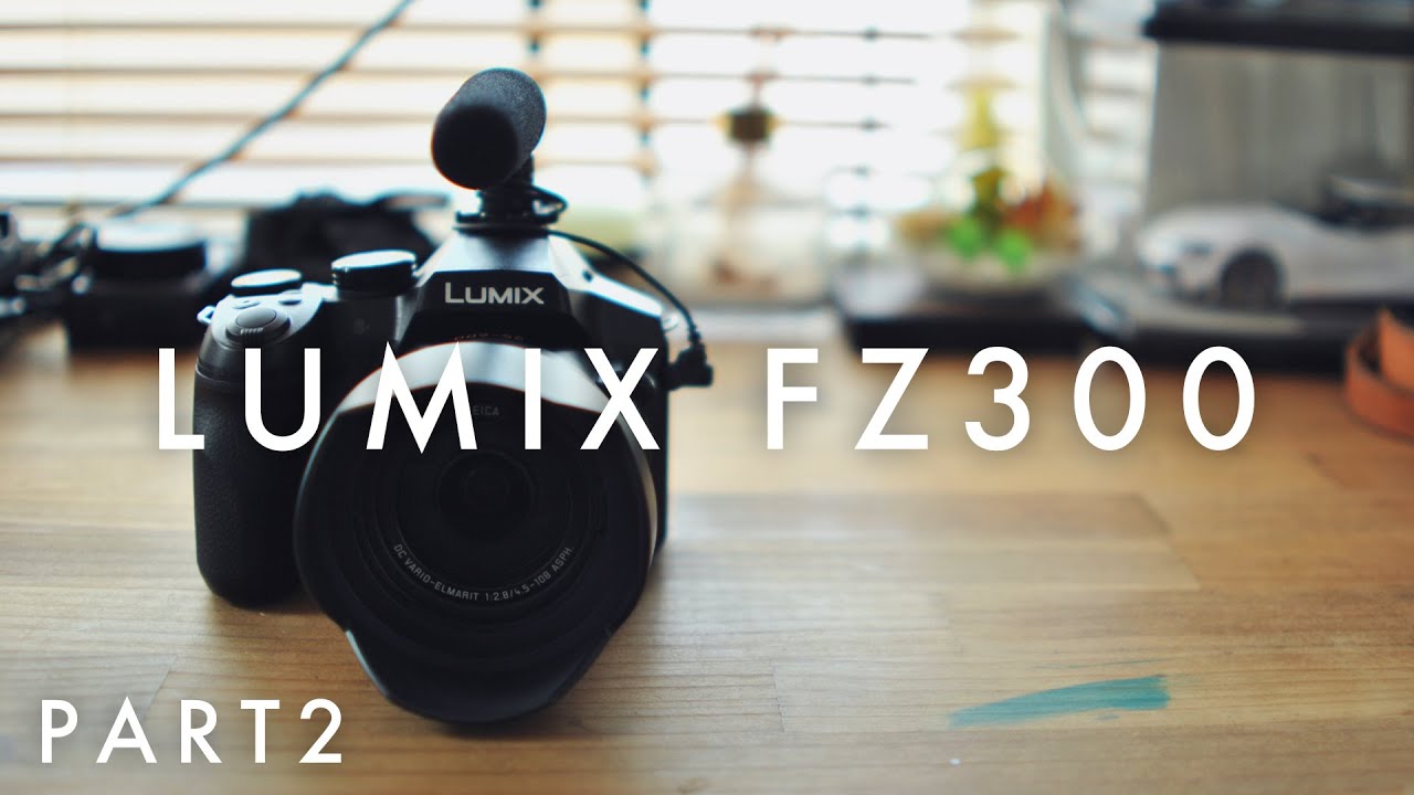 なぜFZ300を選んだのか？理由を解説！はじめてのネオ一眼 後編 / Panasonic LUMIX DMC-FZ300