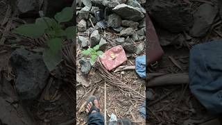 Iphone In The Lv Bag