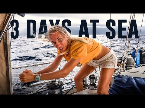 Our Sail Just Got 10 TIMES Longer 😳 Sailing Vessel Delos Ep. 457