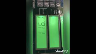 Rasputin - The Giant Dog