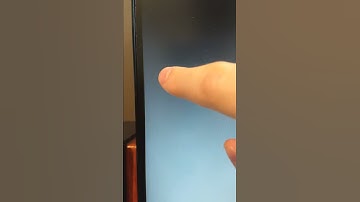 Bug crawling inside my LCD monitor!