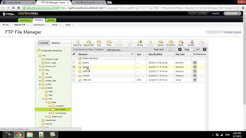 How to Add a Custom Field in Wordpress Registration Form