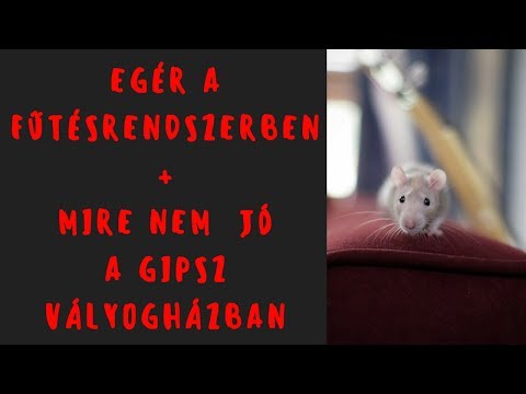 Videó: Hagymák védelme – A rágcsálók távoltartása a virághagymáktól