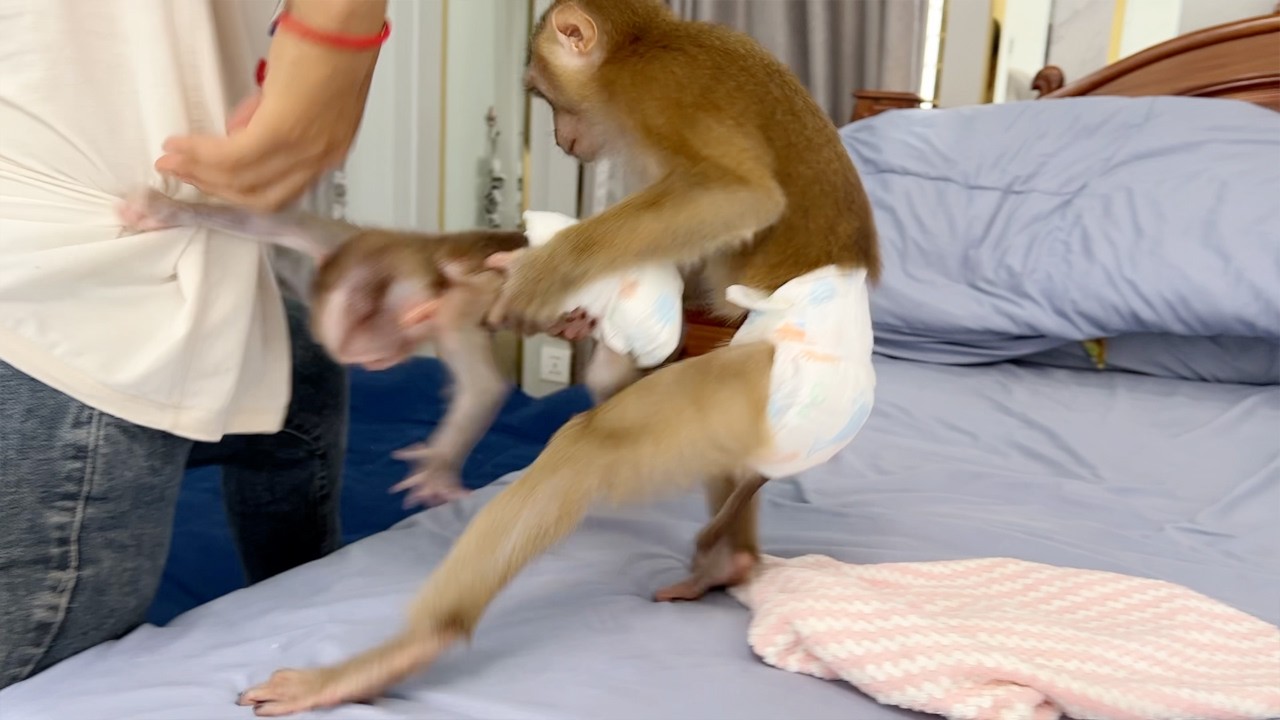 Sara Strongly Drag Baby Tauch To Take Care Instread Mom