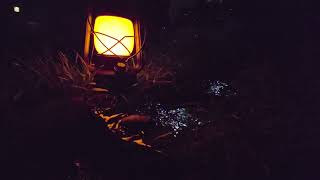 Soft lantern glow by a quiet stream at night - crickets, running water, ambience, sleep video screenshot 5