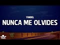Yandel Nunca Me Olvides Letra