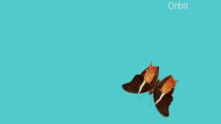 Quiz for Motion Graphics screenshot 5