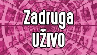 ZADRUGA UZIVO PRENOS!