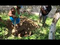 We tried cassava porridge and this happen - digging meter post hole