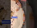 Orange Piebald Porcellio scaber