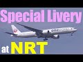 【成田空港】そりゃあ行かなきゃ撮れないよねぇ! 2025年1〜6月に飛来したスペマ(特別塗装)機たちをまとめてみた【Special Livery】