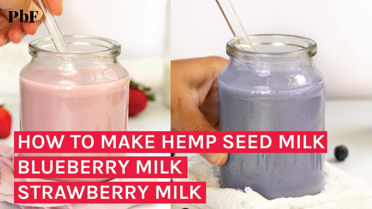 How to Make Hemp Seed Milk + Strawberry Milk + Blueberry Milk YouTube
