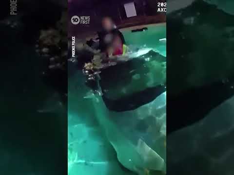 Dramatic Pool Rescue: