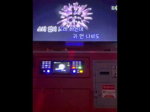 조각나비 - 시드사운드 (cover_노래방)