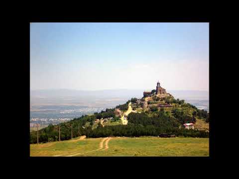 შალვა ჩემო