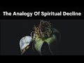 The analogy of spiritual decline a journey through song of solomon
