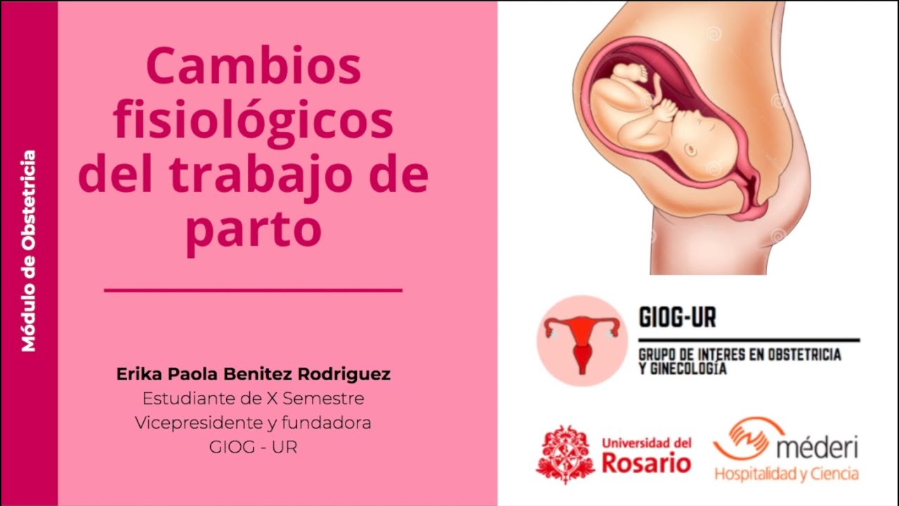 Fisiología y analgesia en el trabajo de parto