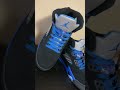 Blue jordan jordan