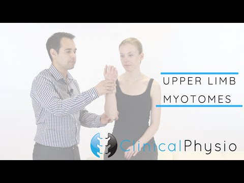 Upper Limb Myotomes | Clinical Physio